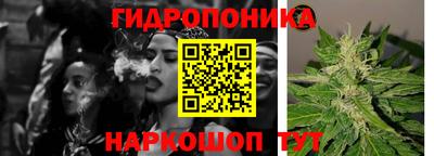 шишки Азнакаево