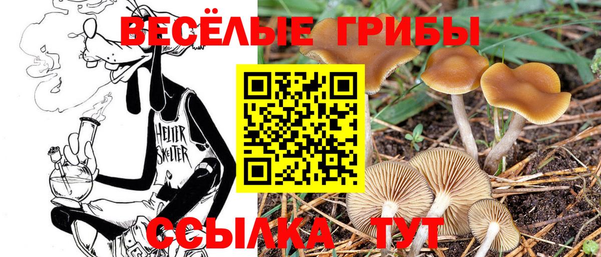Псилоцибиновые грибы ЛСД Сердобск